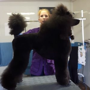 jill 01-02-2017 (4) jill 01-02-2017 (4)