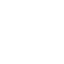Brain