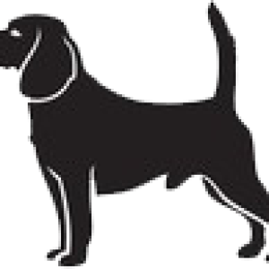 Mediumdog Mediumdog